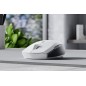 Mouse Usb Razer Pro Click Min Wireless Gaming white RZ01-03990100-R3G1